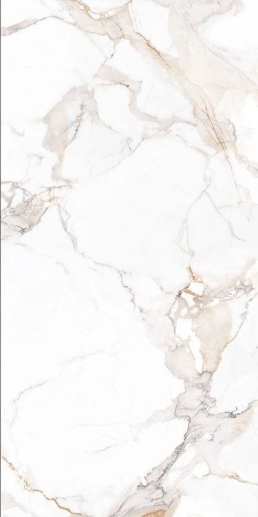 Calacatta Golden-Calacatta Bianco